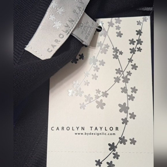 Carolyn Taylor Colorblock Raglan Sweater   Size XL - Picture 10 of 10